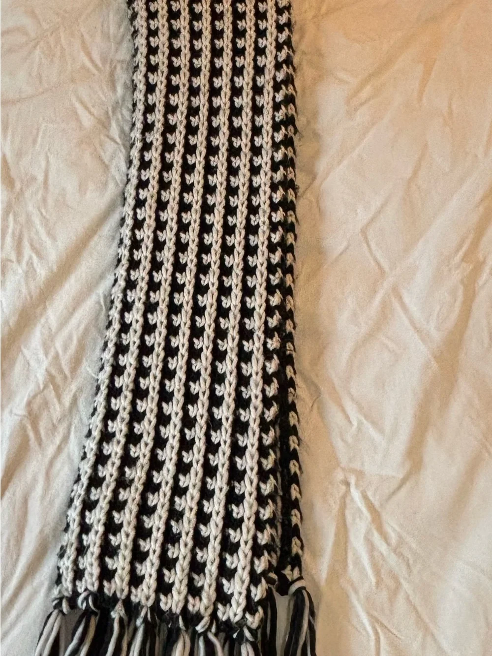 Steve Madden Black and White Striped Knit Scarf with Fringe